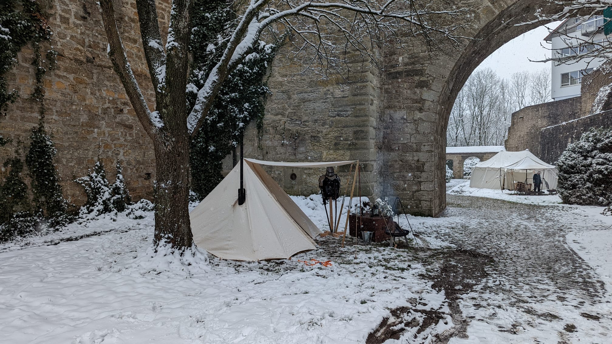 Lager der Canes Varii im Schnee